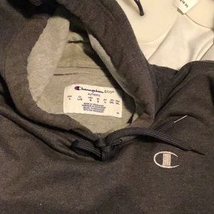 Champion sweater